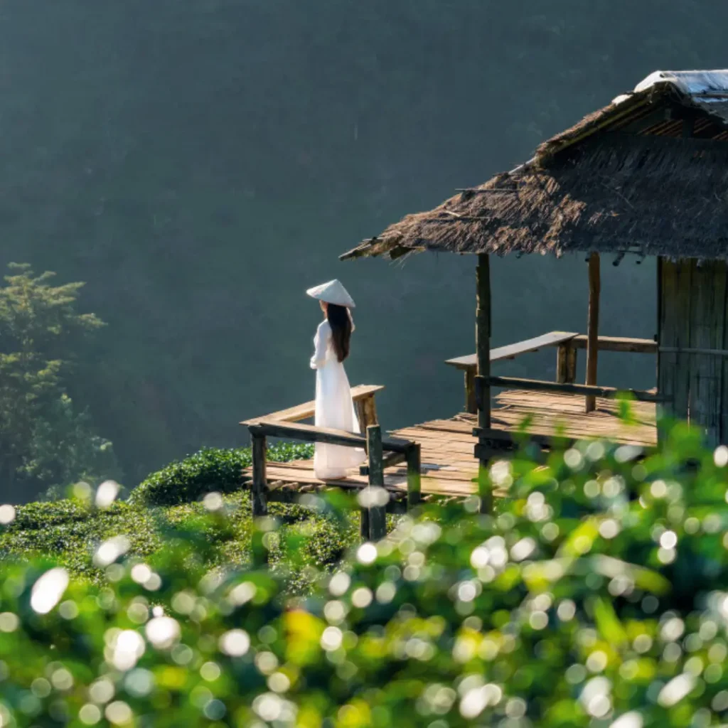 Beauty of Sapa & Halong Bay Beauty of Sapa & Halong Bay