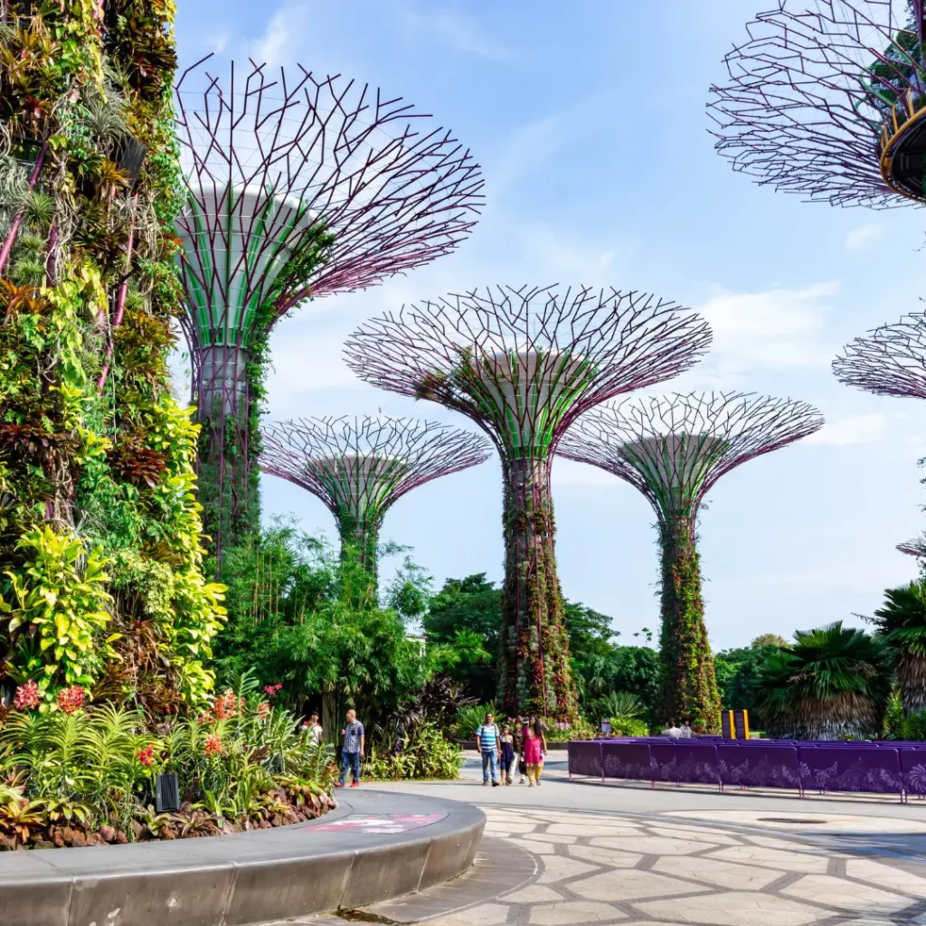 Free and Easy in Singapore Free and Easy in Singapore