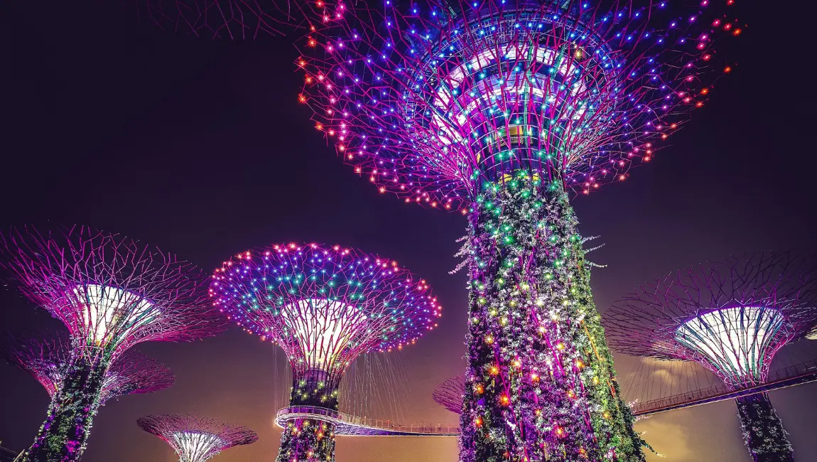 Gardens By The Bay At Night Singapore