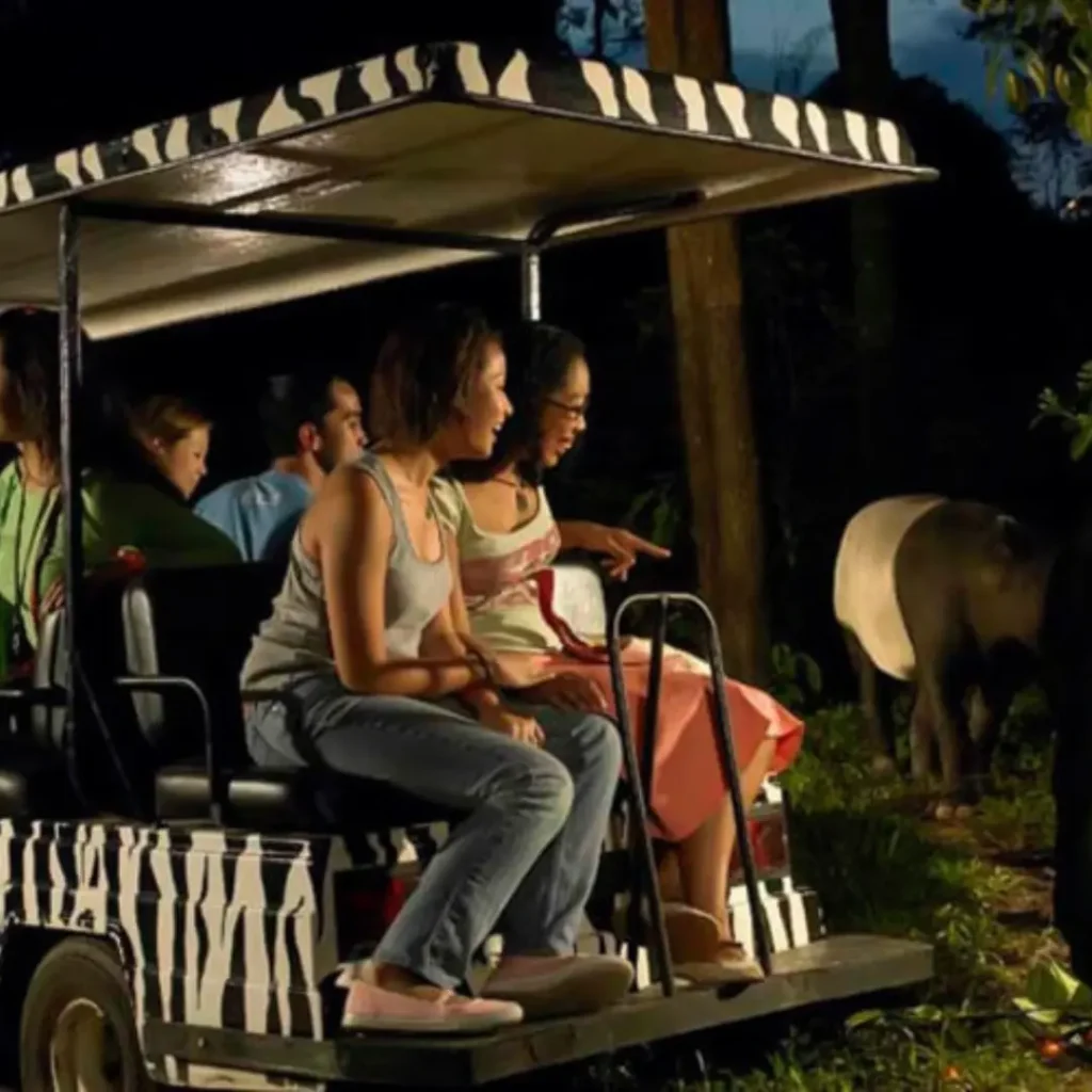 singapore with Night Safari singapore with Night Safari
