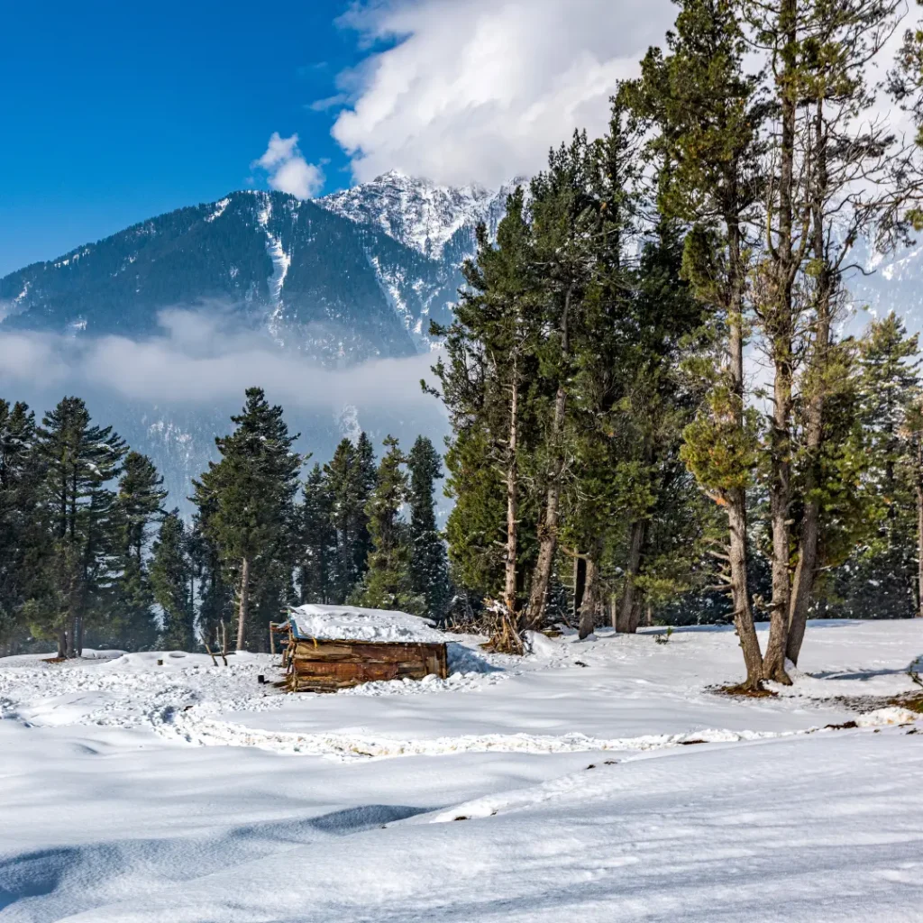 06 Days Kashmir Tour 06 Days Kashmir Tour