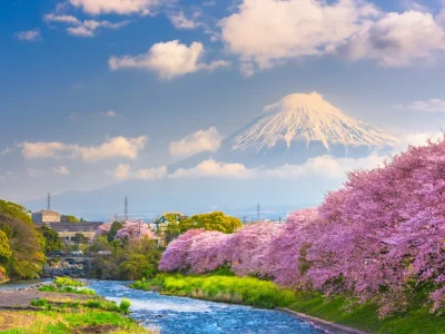 Mt. Fuji Japan spring landscape Mt. Fuji Japan spring landscape