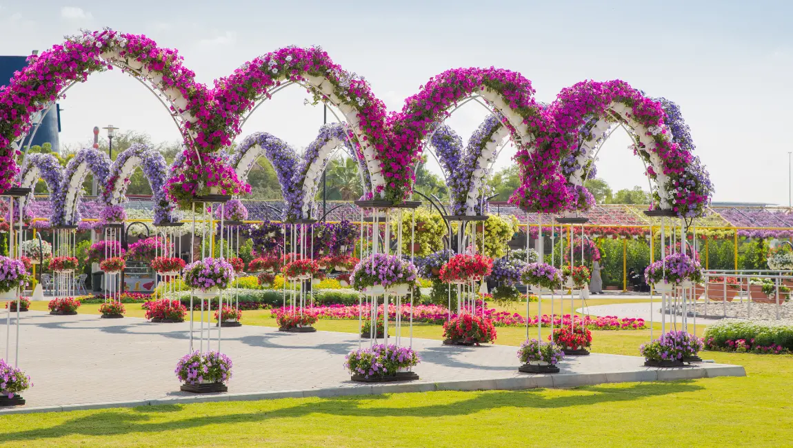miracle garden dubai